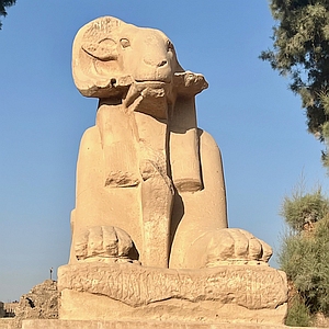 sphinx