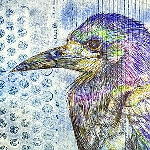 corbeau bic