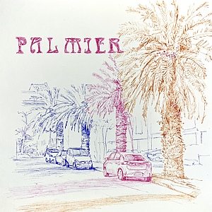palmier bic